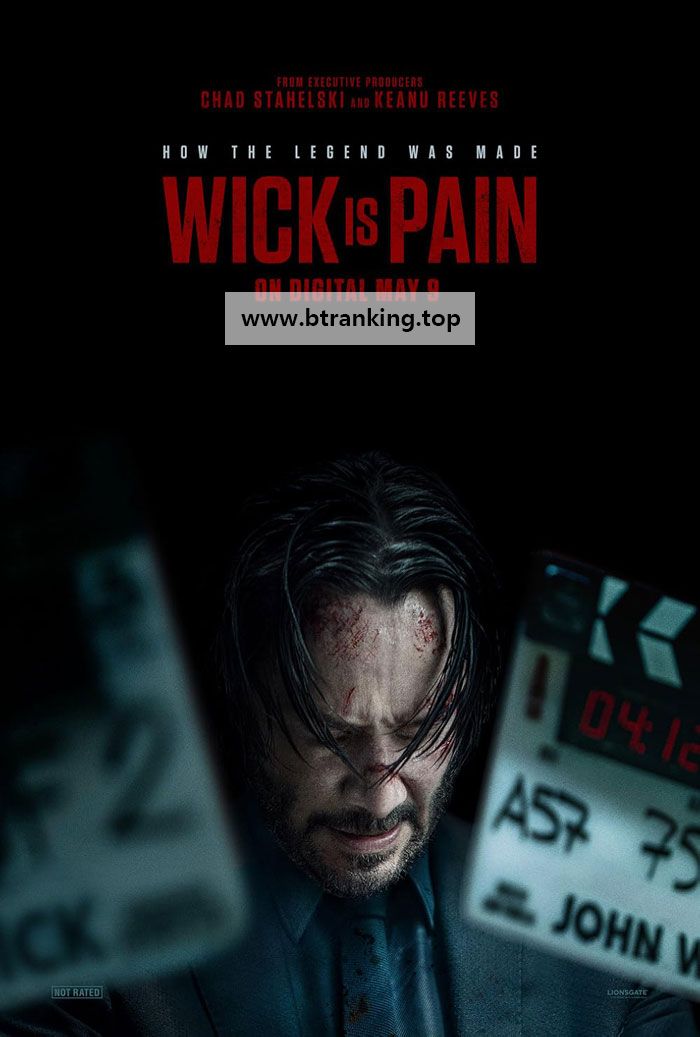 Wick Is Pain 2025 DOCU.1080p.10bit.WEBRip.6CH.x265.HEVC-PSA