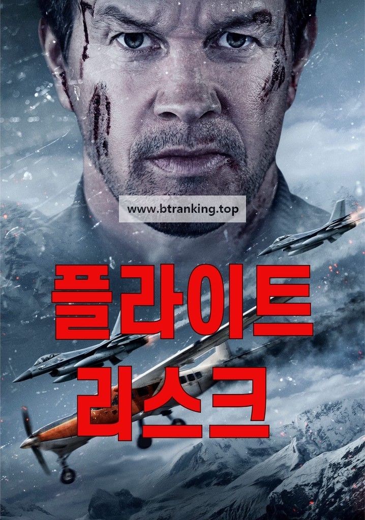 플라이트 리스크 Flight.Risk.2025.1080p.10bit.WEBRip.6CH.x265.HEVC-PSA