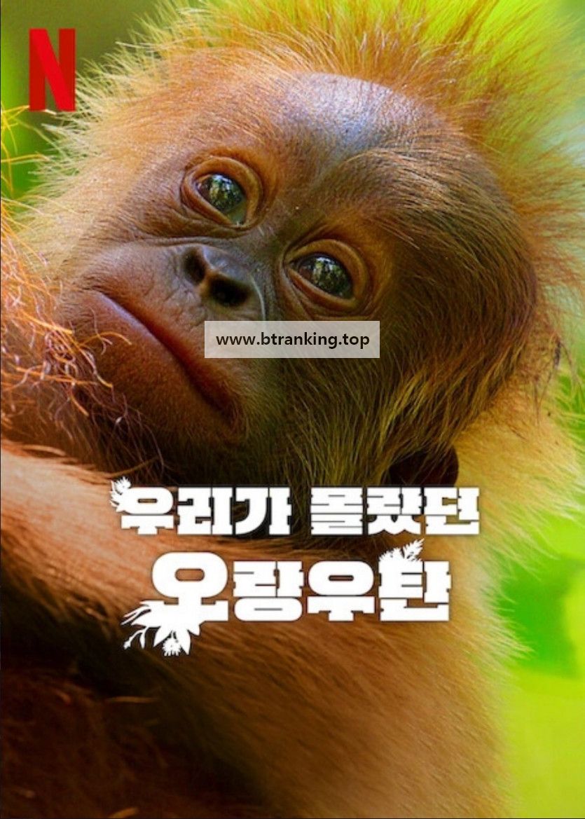 우리가 몰랐던 오랑우탄 Secret.Lives.of.Orangutans.2024.NF.WEB-DL.1080p.H.264.DDP5.1.Atmos