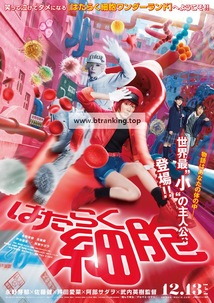 일하는 세포 Hataraku Saibou 2024 1080p WEB-DL Japanese WEB-DL HEVC x265 5.1 BONE