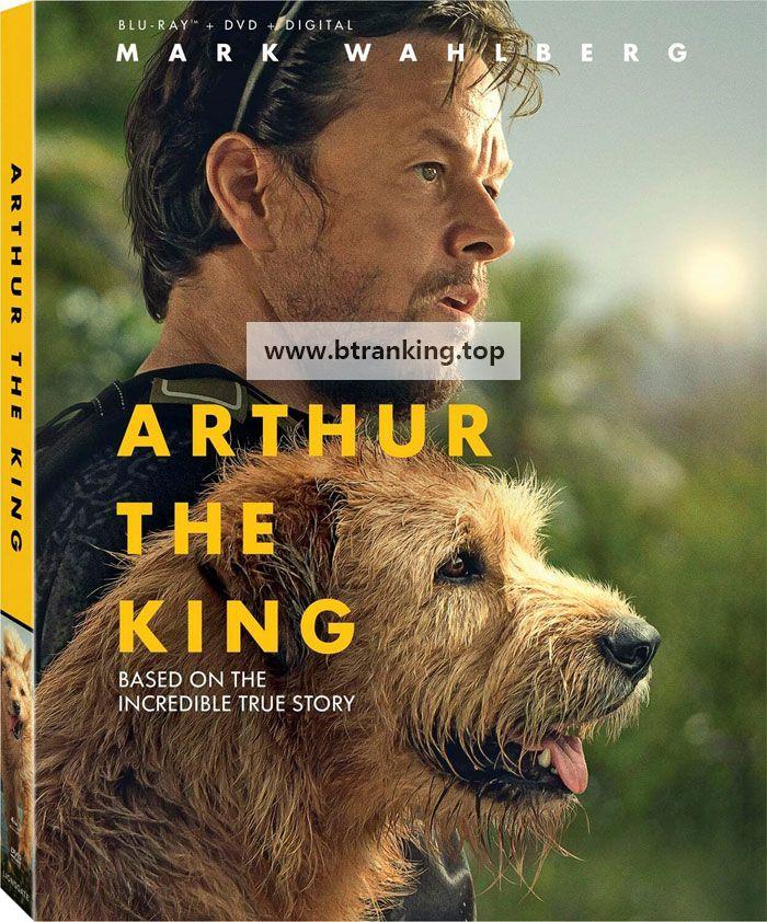 아서 Arthur the King (2024) (1080p BluRay x265 10bit Tigole)